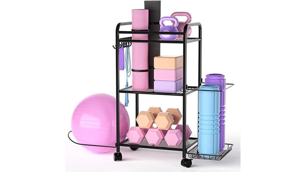 highpro gym storage rack