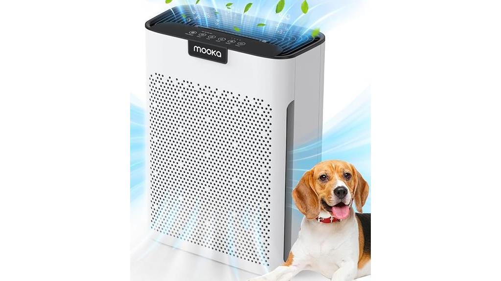 large room air purifier