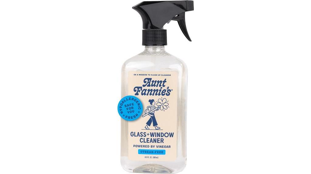 natural glass cleaner solution